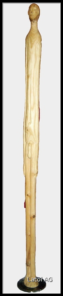 Homo erectus